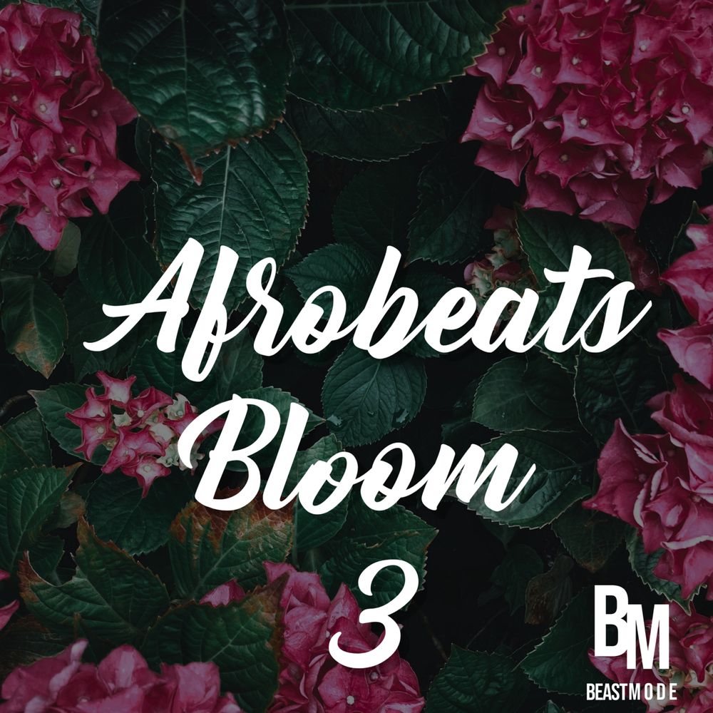 Afrobeats Bloom Sample Pack Landr Samples