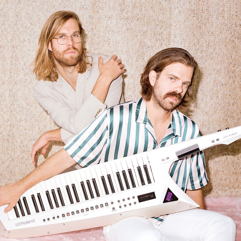 Cover of The Darcys