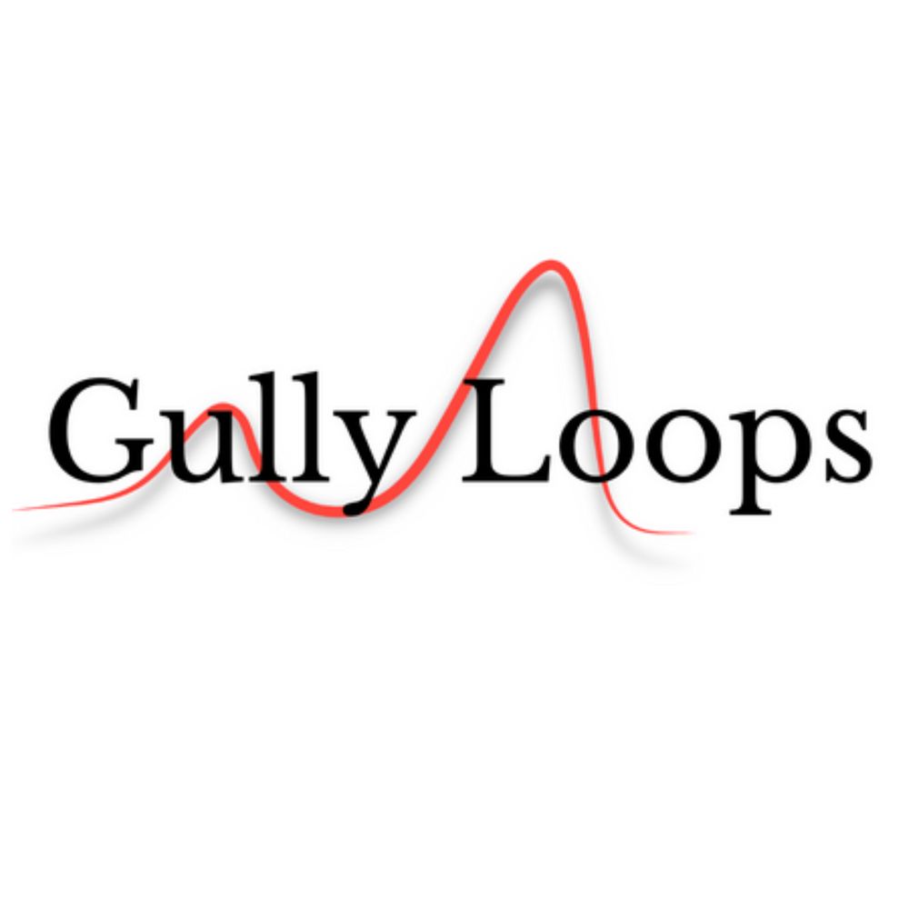 Gully Loops Logo