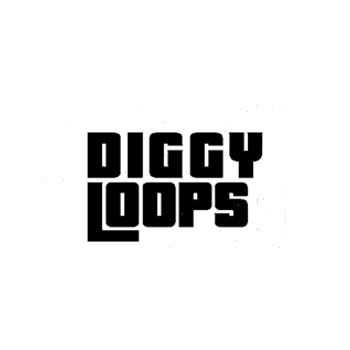 Download Diggy Loops Sample Packs Loops Landr Samples