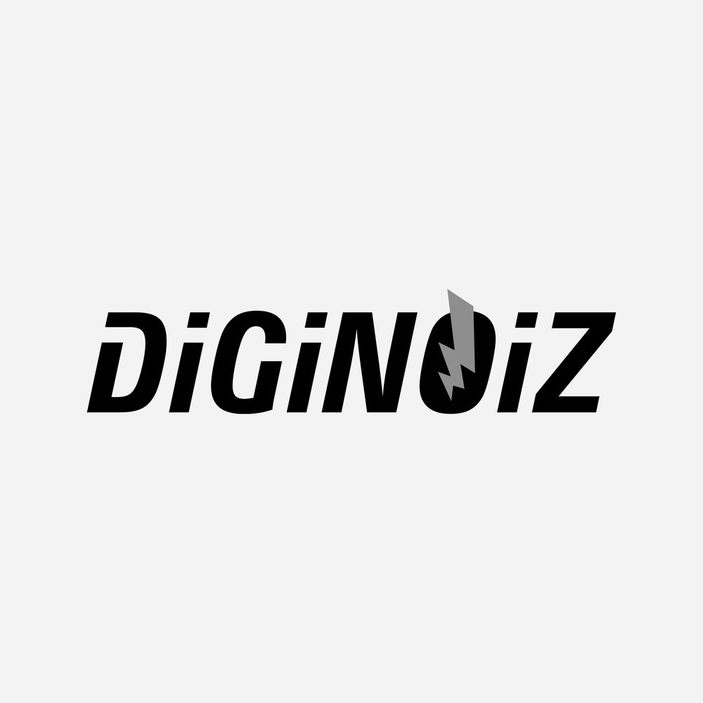 Diginoiz Logo