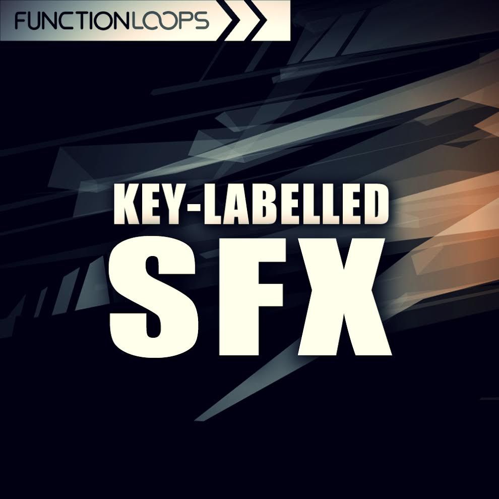 Pochette de Key Labelled SFX