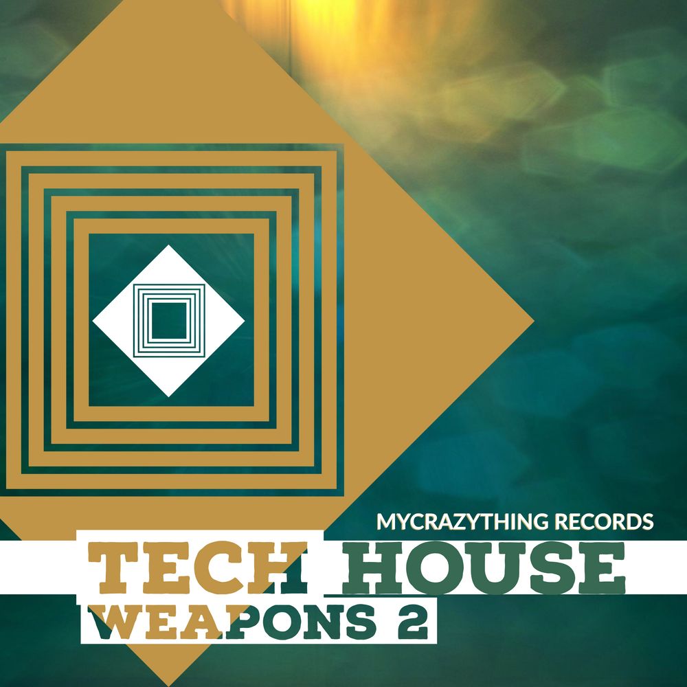 Pochette de Tech House Weapons 2