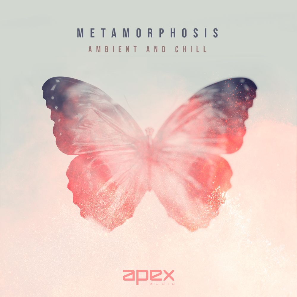Pochette de Metamorphosis - Ambient & Chill
