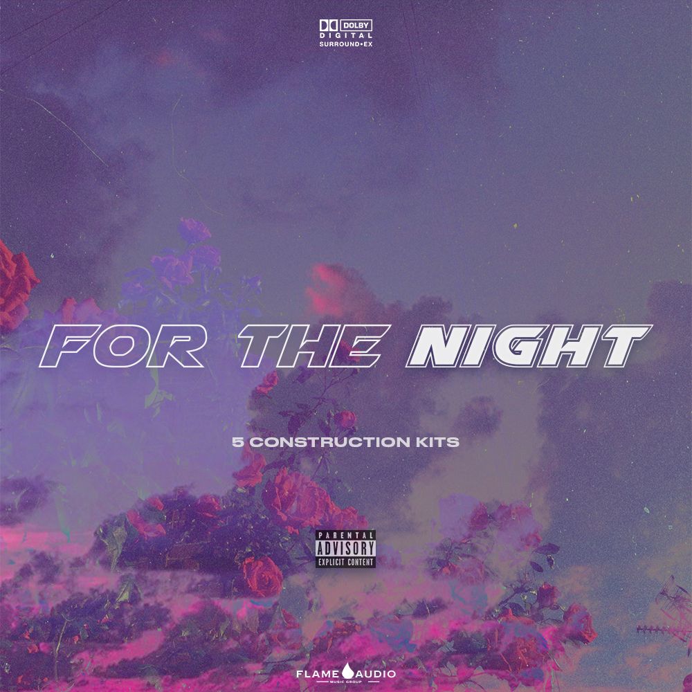 Pochette de FOR THE NIGHT