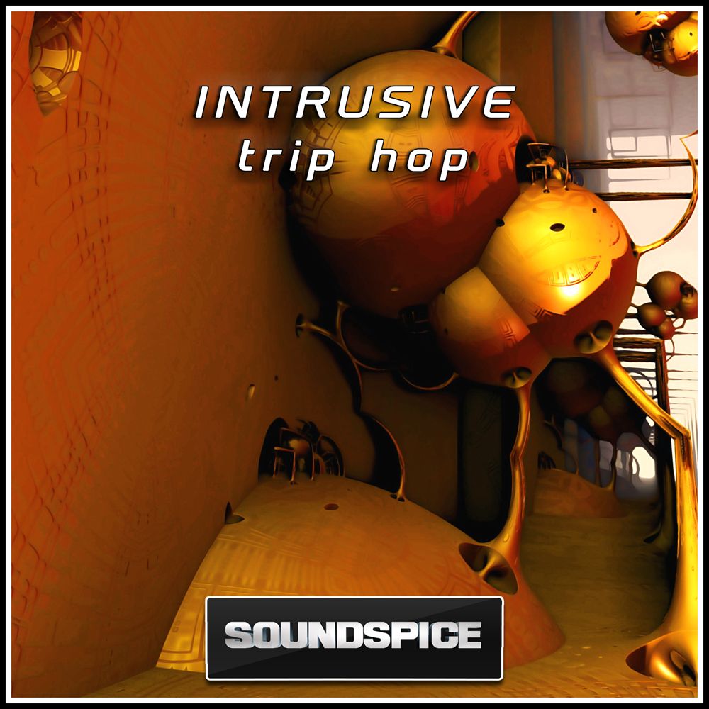 Pochette de Intrusive Trip Hop