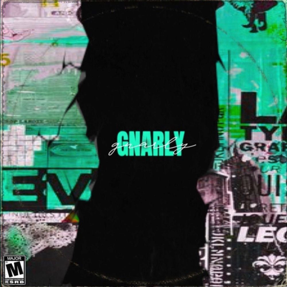 Pochette de Gnarly