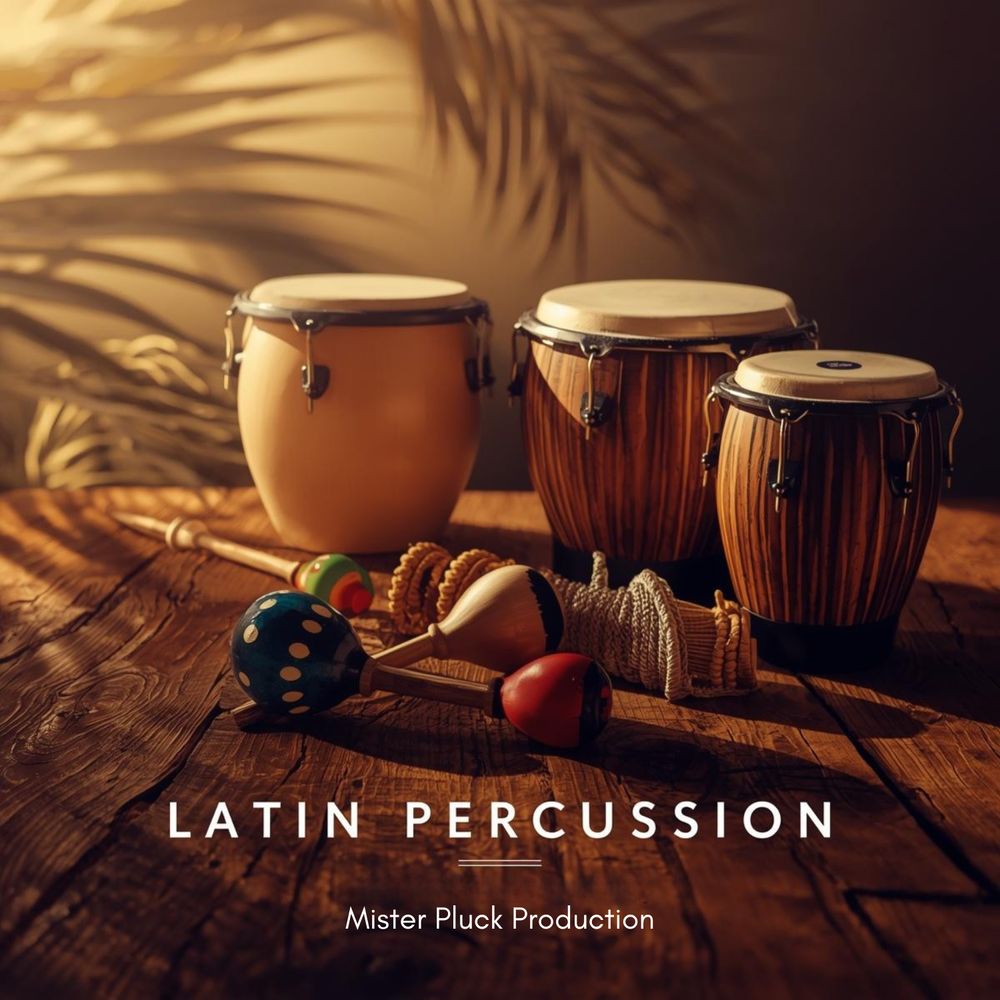 Pochette de Latin Percussion