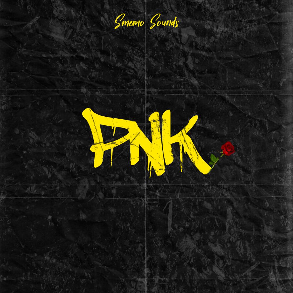 Pochette de PNK