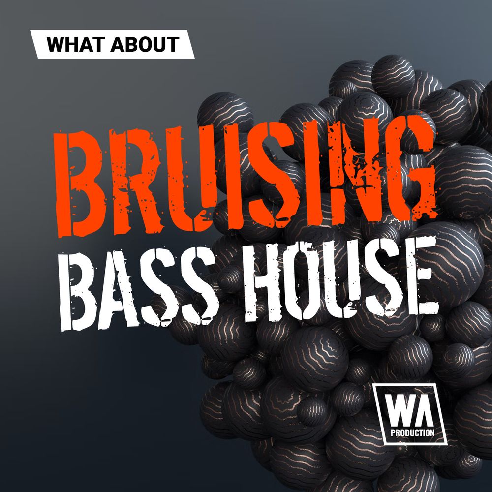Pochette de What About Bruising Bass House