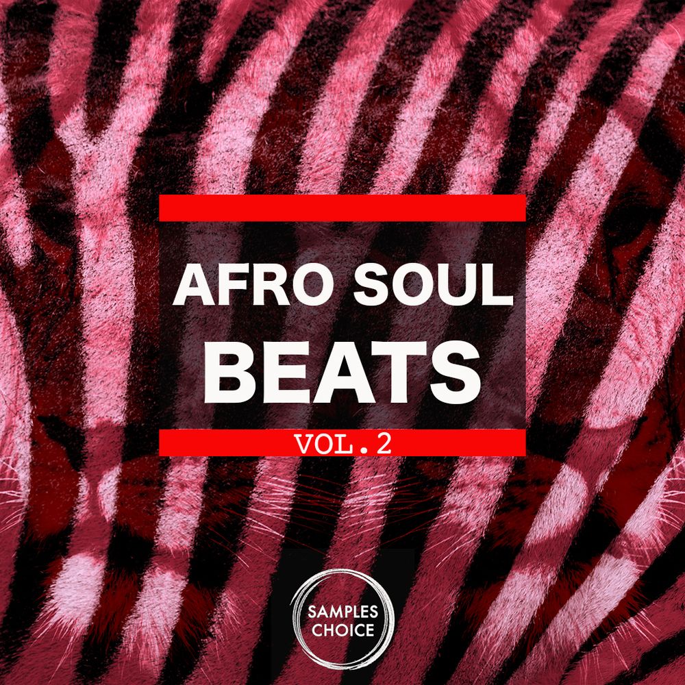Pochette de Afro Soul Beats Vol 2