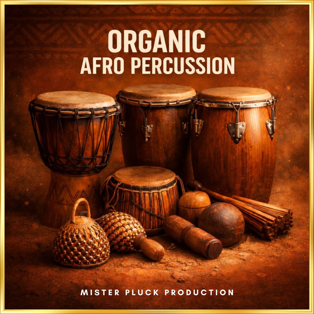 Pochette de Organic Afro Percussion