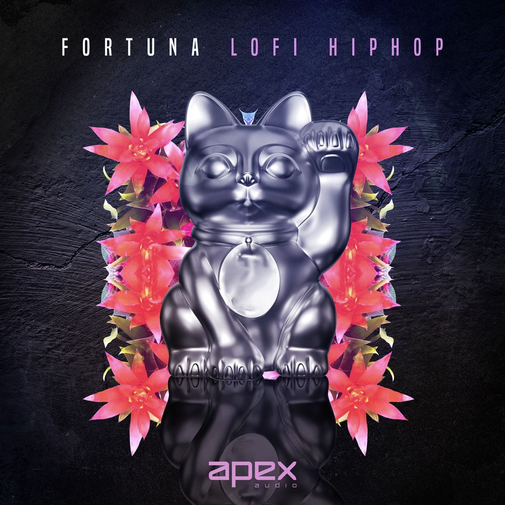 Pochette de Fortuna - Lofi Hiphop