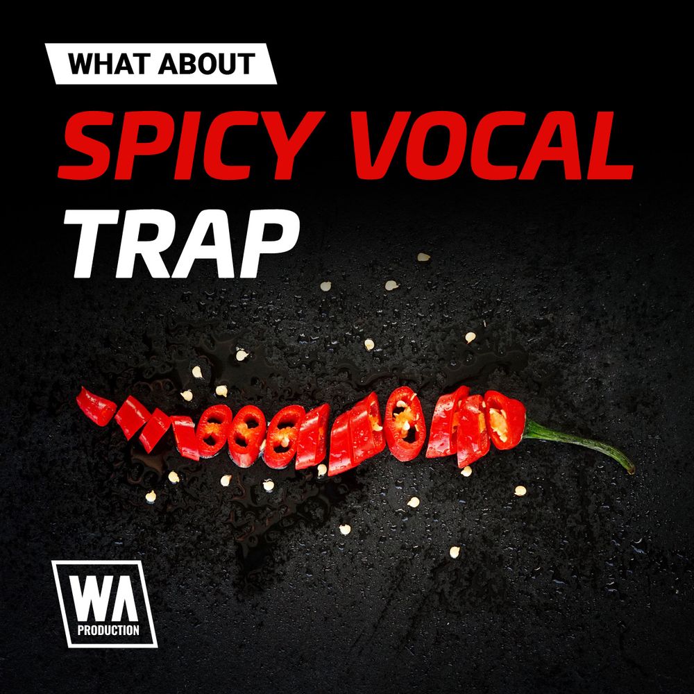 Pochette de What About: Spicy Vocal Trap