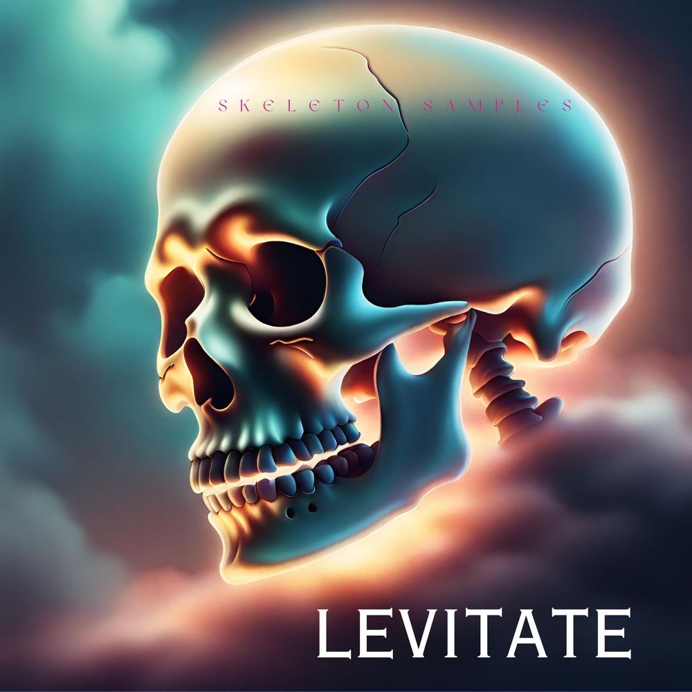 Artwork of Levitate [Melodic Techno]
