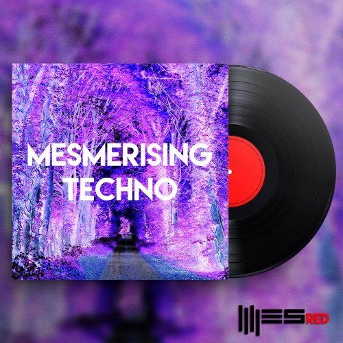 Pochette de Mesmerising Techno