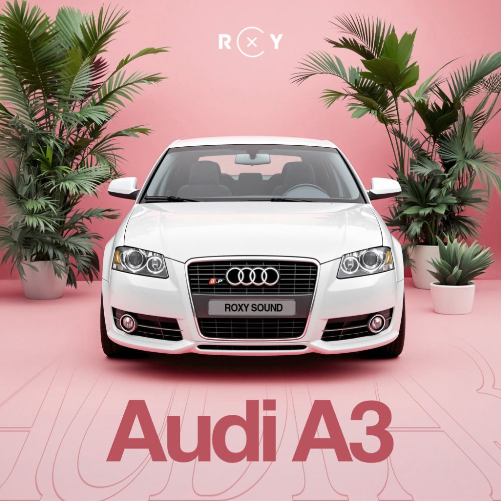 Pochette de Audi A3 8P 2006