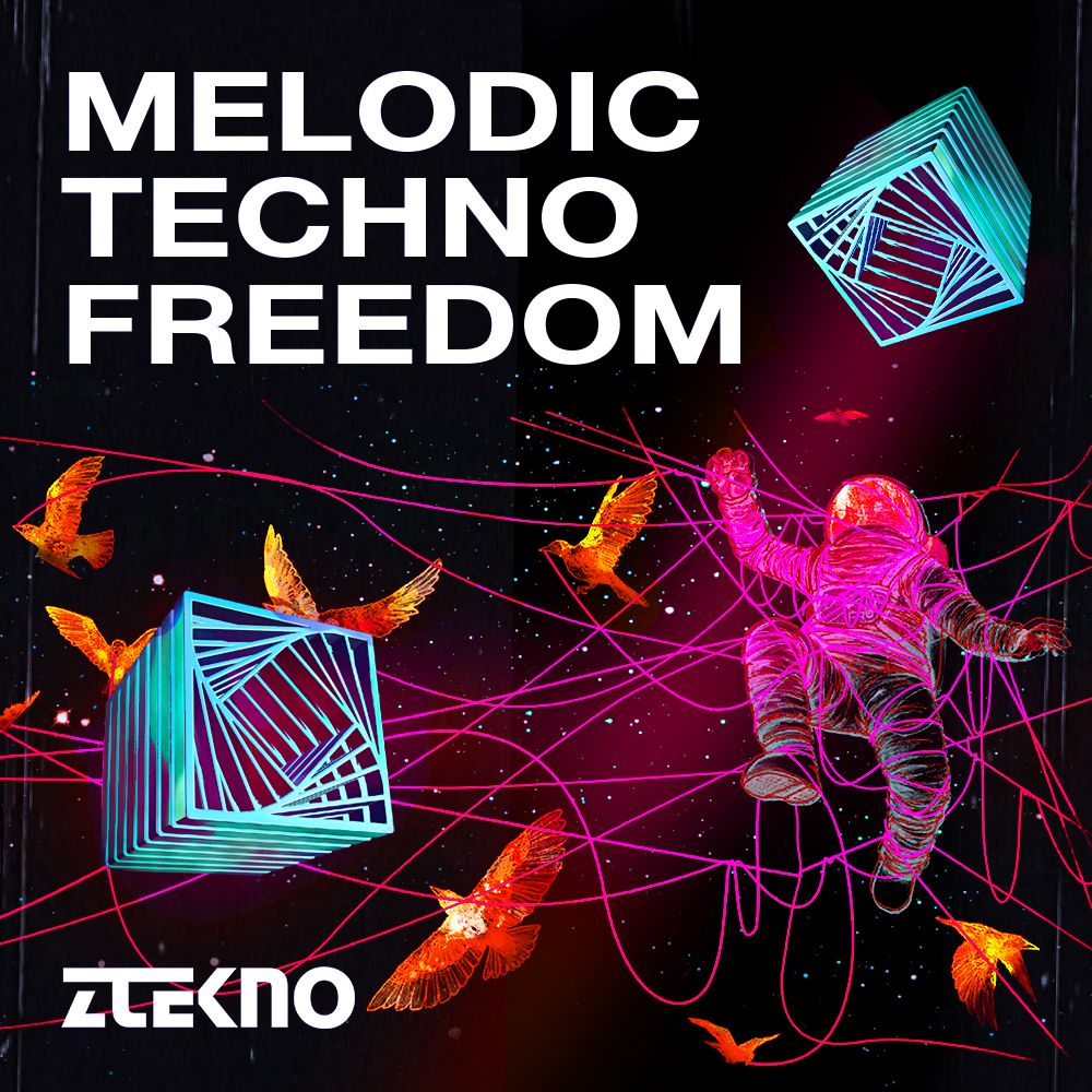Arte de MELODIC TECHNO FREEDOM