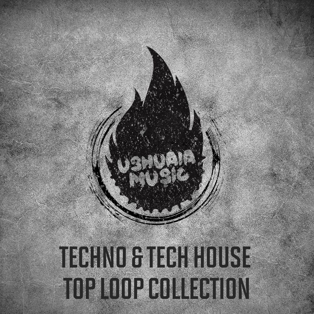 Arte de Techno & Tech House Top Loop Collection