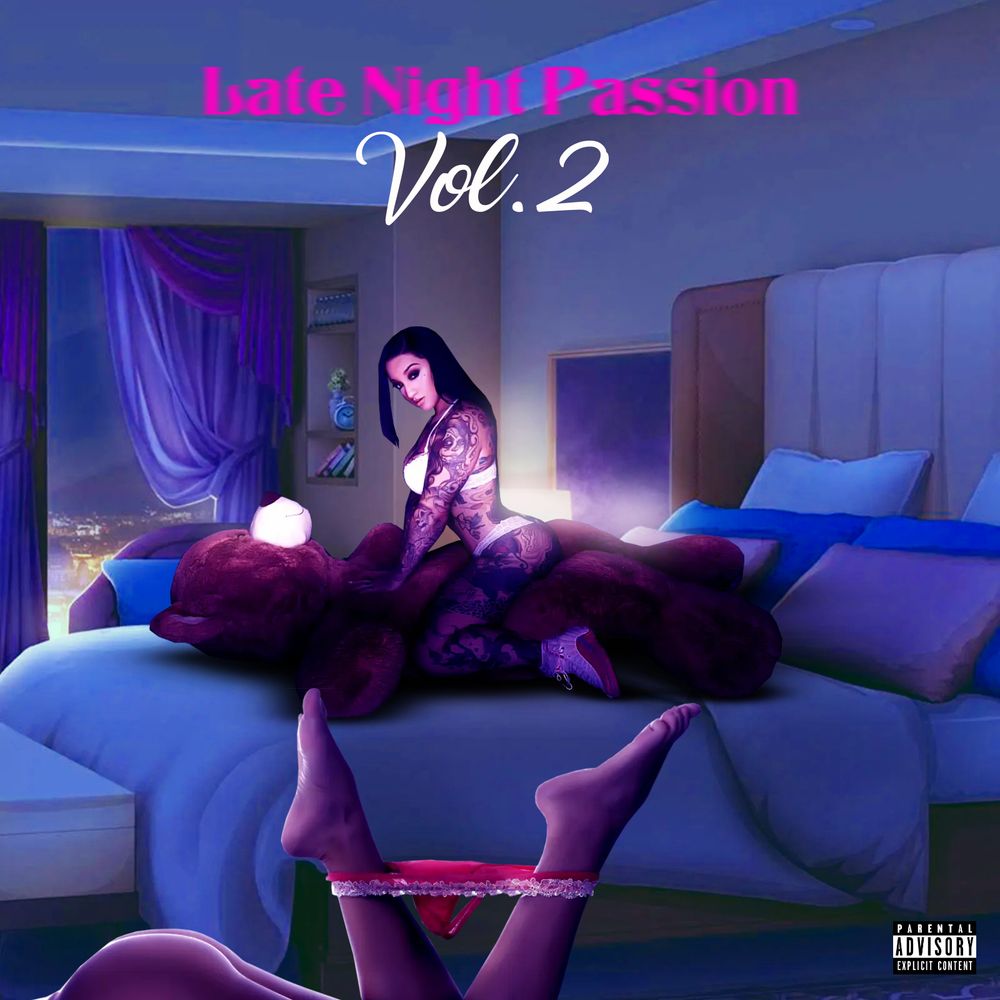 Pochette de Late Night Passion Vol.2