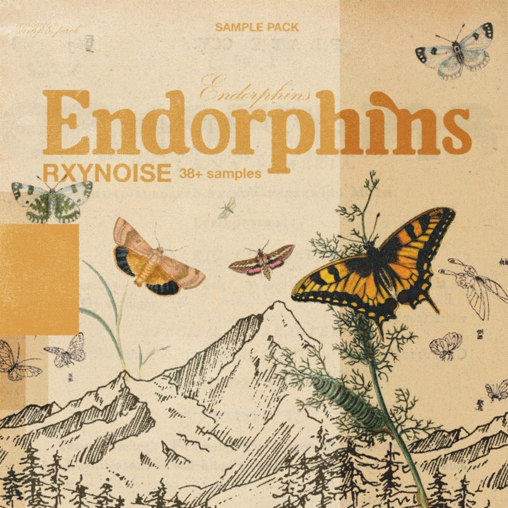 Artwork of Endorphins Ⅱ ( Trap )