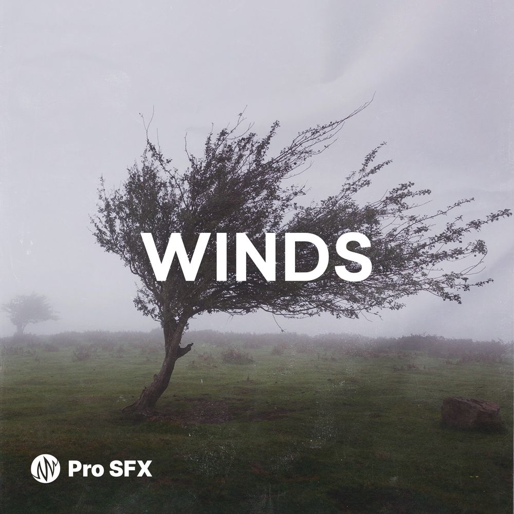 Pochette de Winds