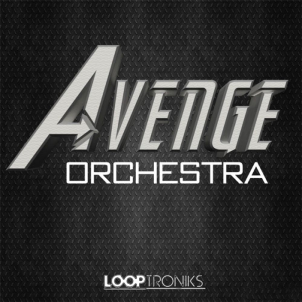Pochette de Avenge Orchestra