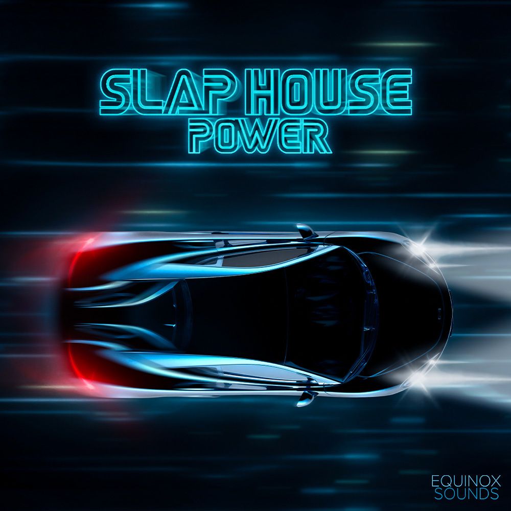 Cover of Slap House Power
