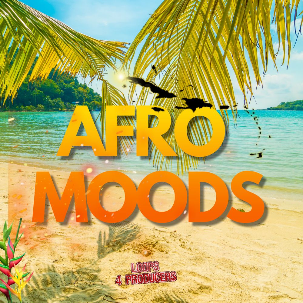 Pochette de Afro Moods