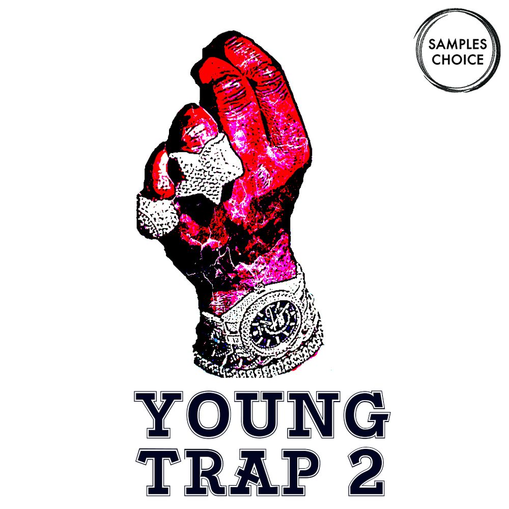 Pochette de Young Trap 2