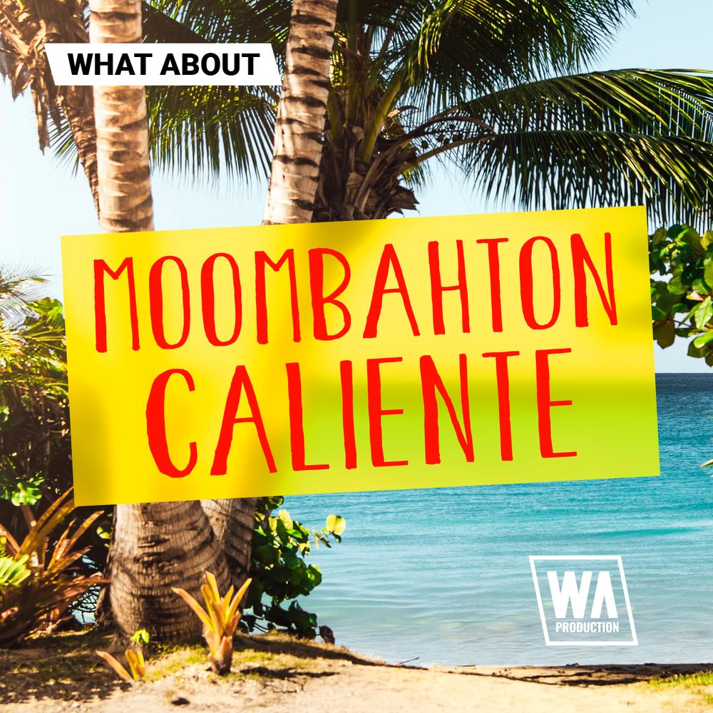 Obra de arte de What About Moombahton Caliente