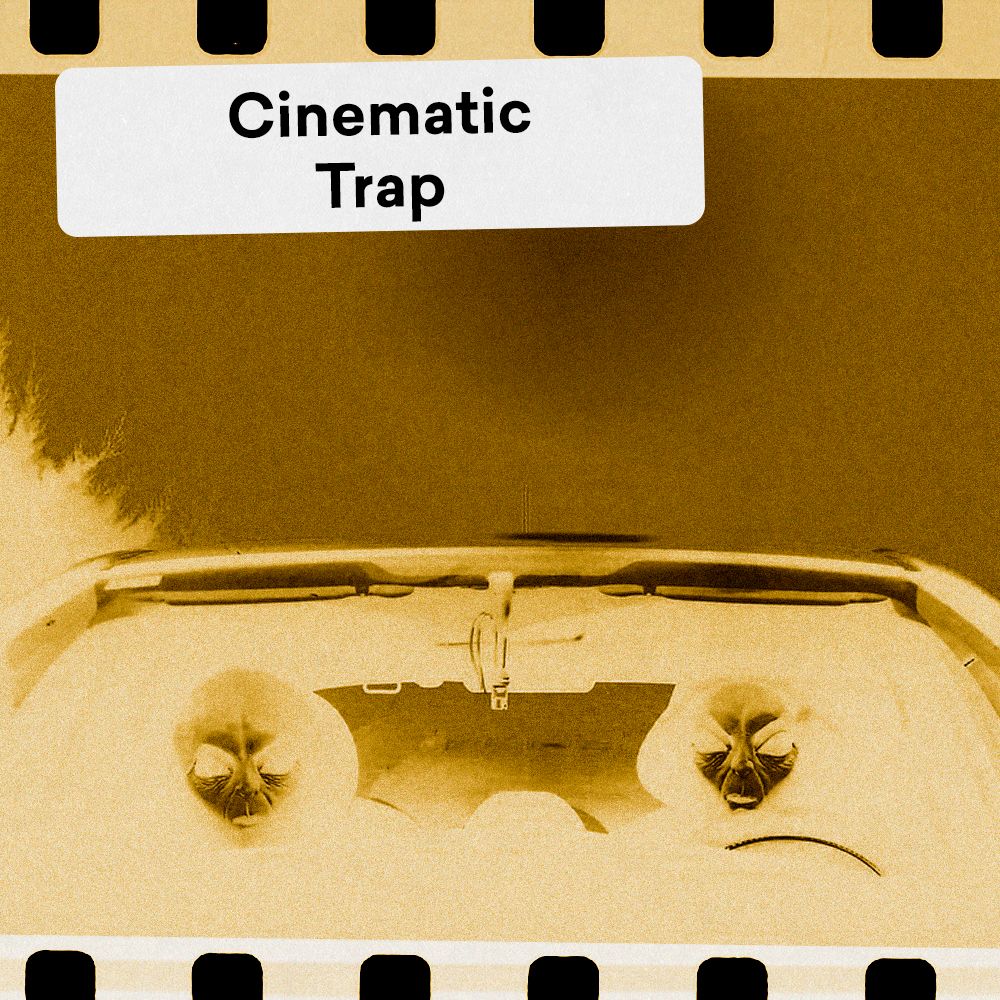 Pochette de Cinematic Trap