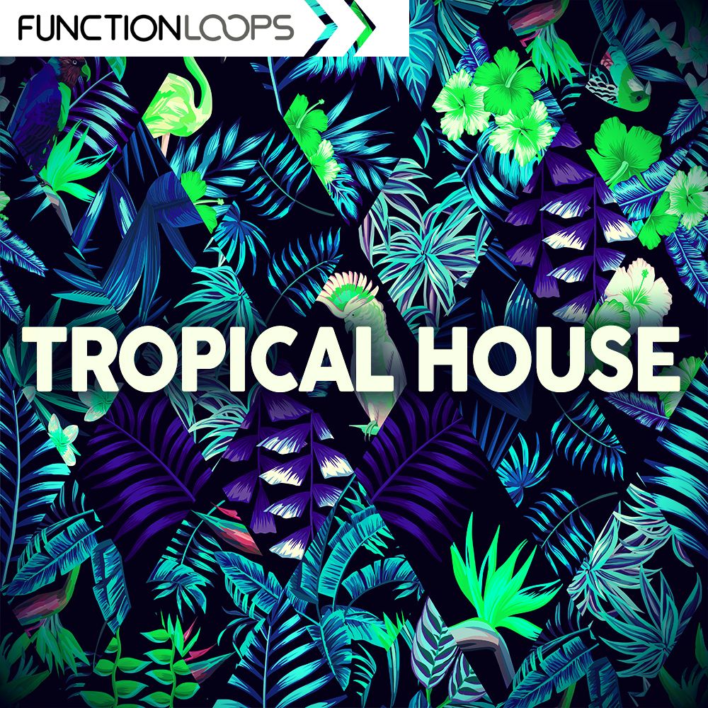 Pochette de Tropical House