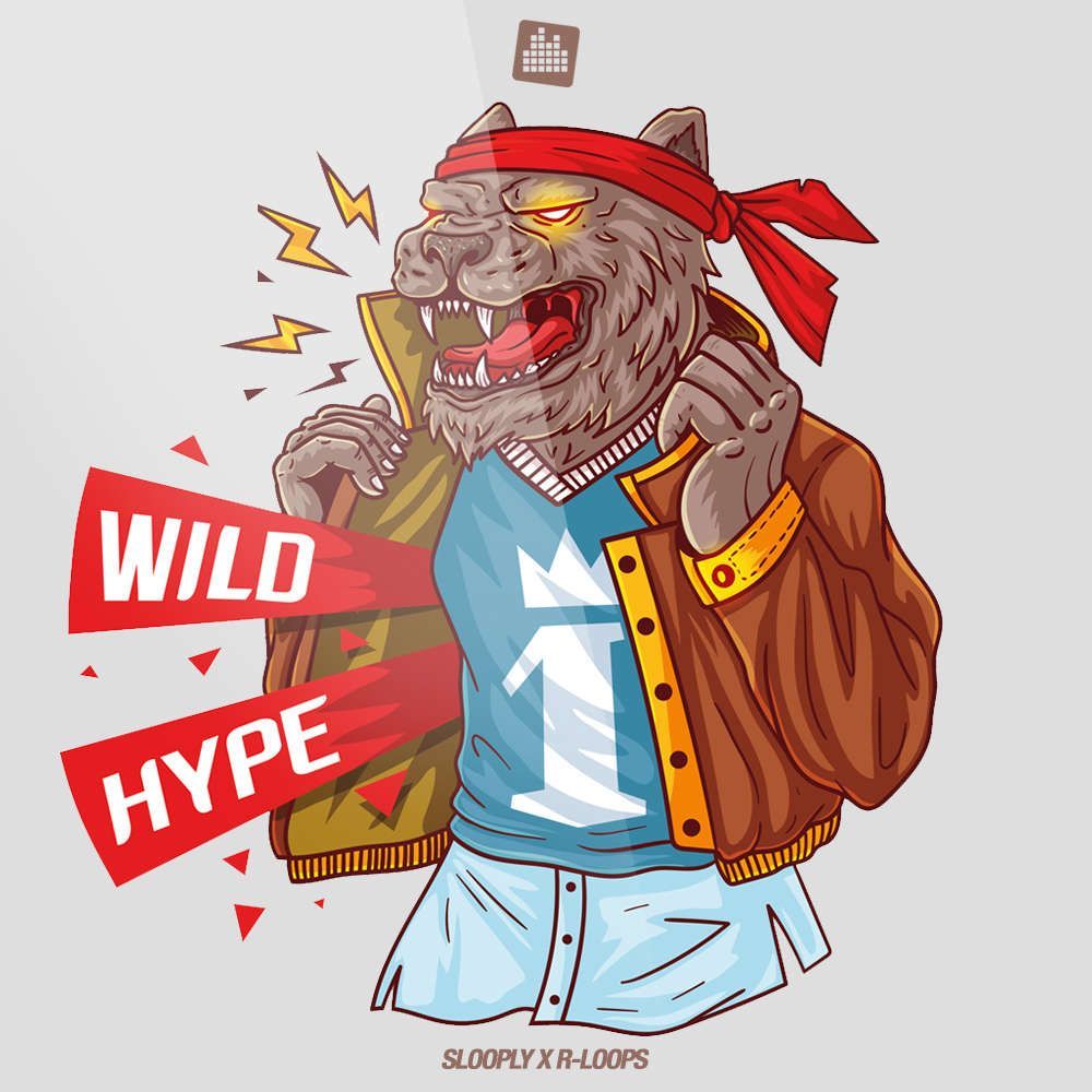 Pochette de Wild Hype
