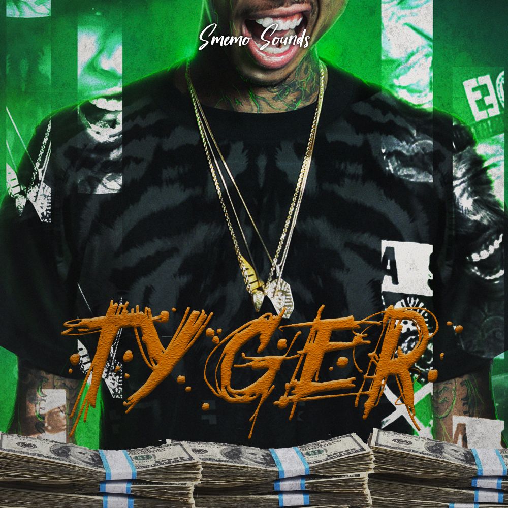 Pochette de TYGER