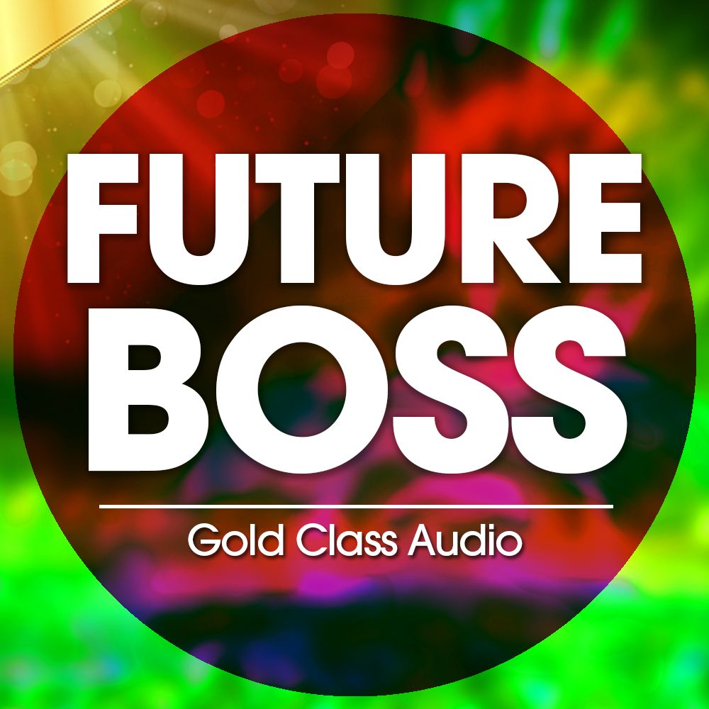 Pochette de Future Boss