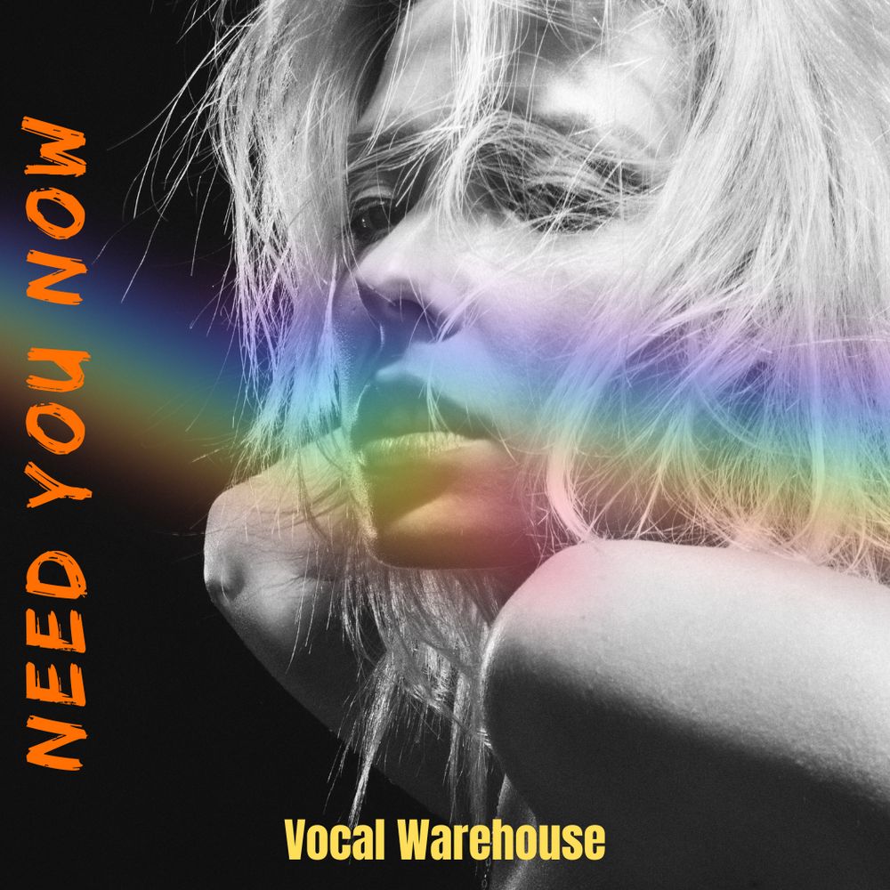 Arte de Need You Now - Vocal Pack