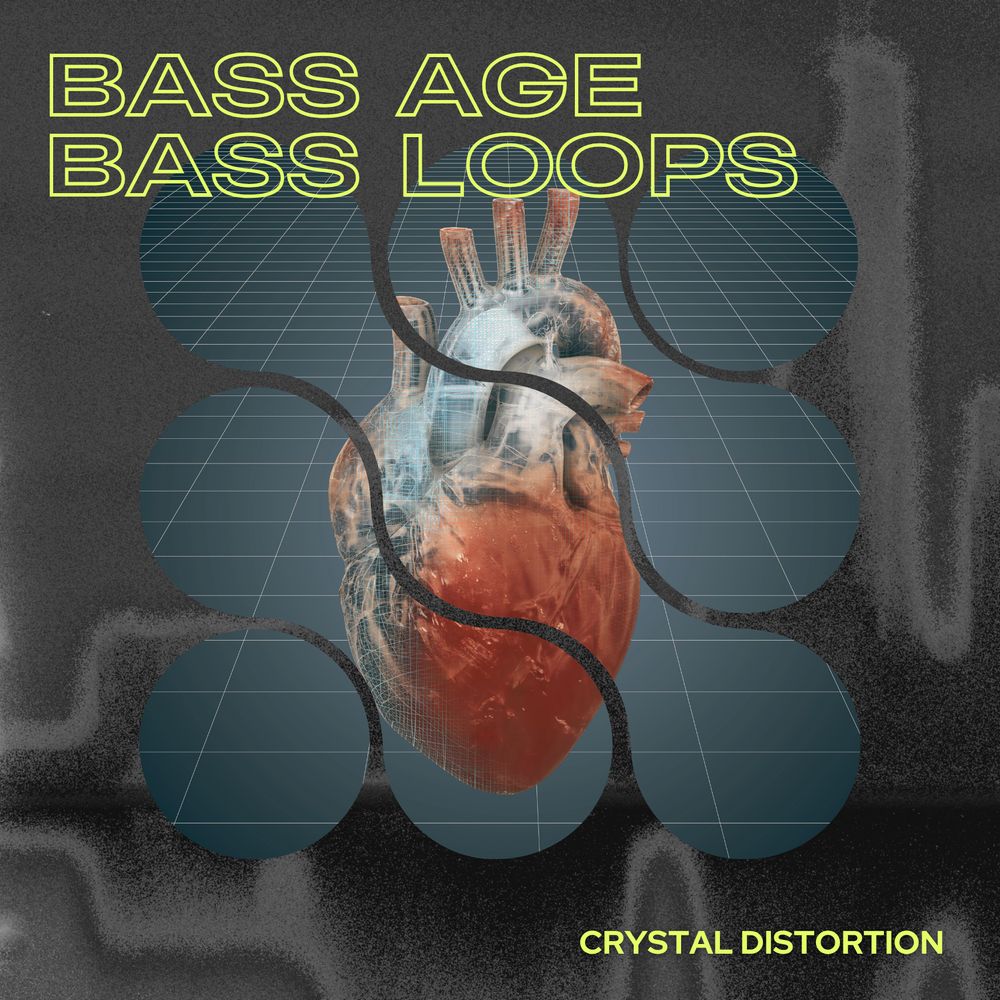 Pochette de Bass Age - Bass Loops