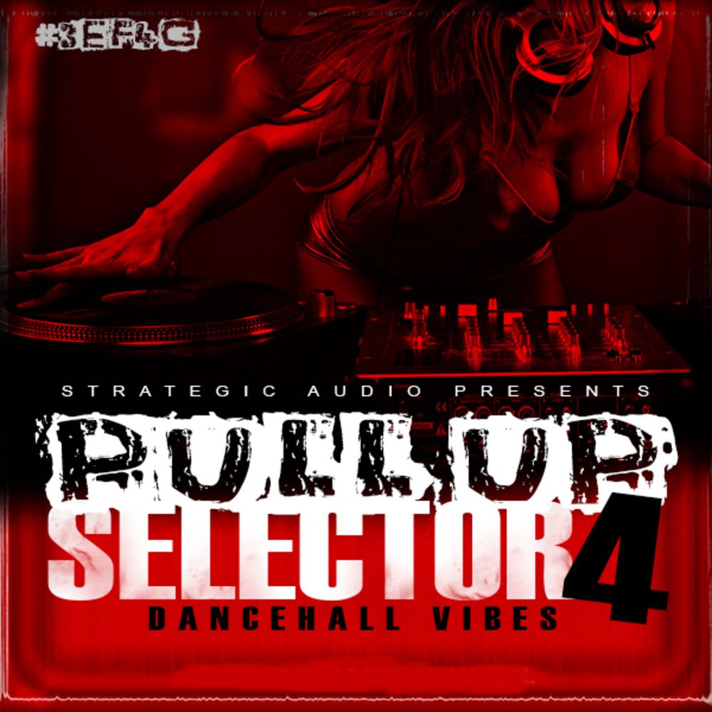 Pochette de Pull Up Selector: Dancehall Vibes Vol 4