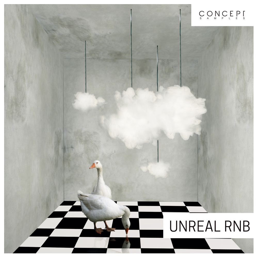 Artwork of Unreal RnB