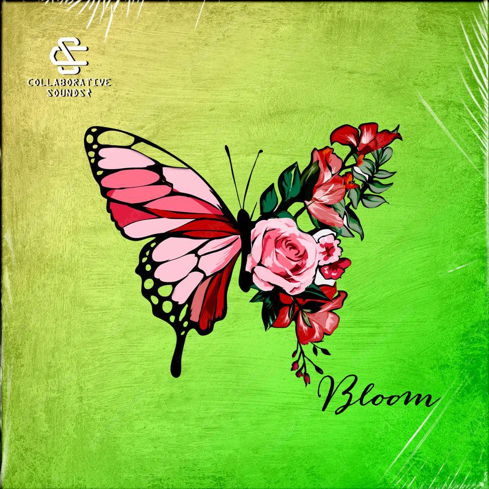 Arte de Bloom - Lofi Hip Hop
