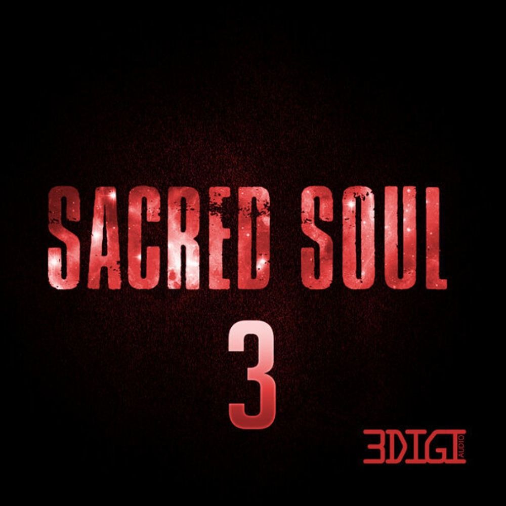 Pochette de Sacred Soul 3