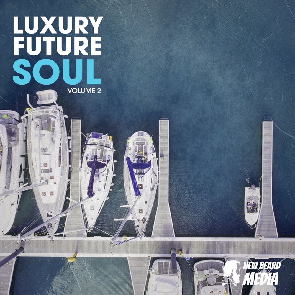 Artwork of Luxury Future Soul Vol 2