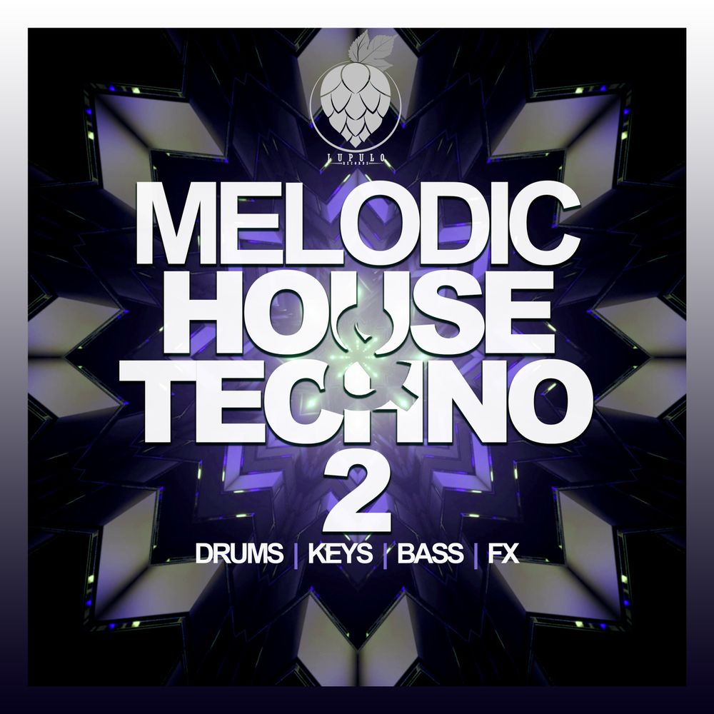 Pochette de Melodic House & Techno Vol. 2