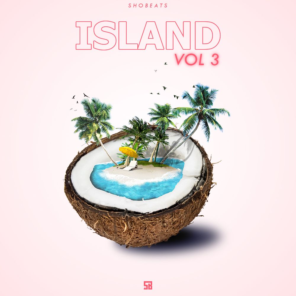 Pochette de Island 3