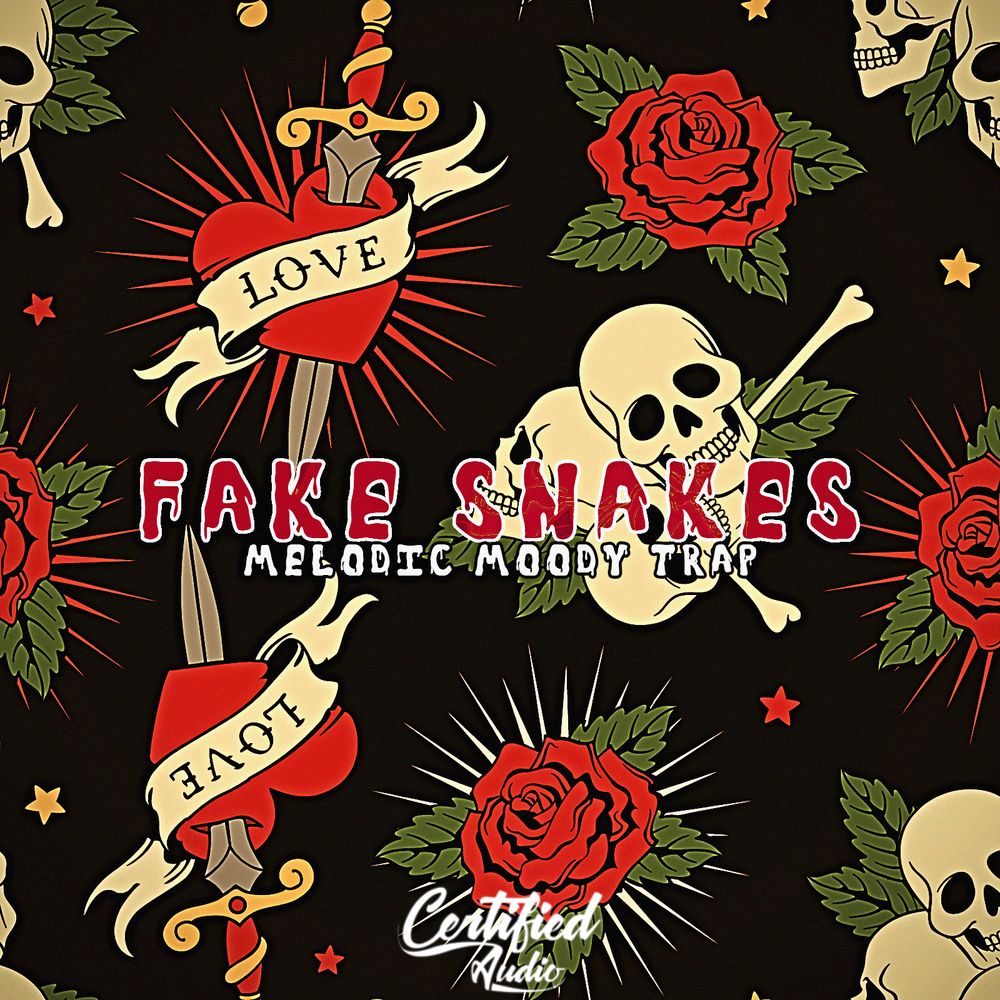Pochette de Fake Snakes