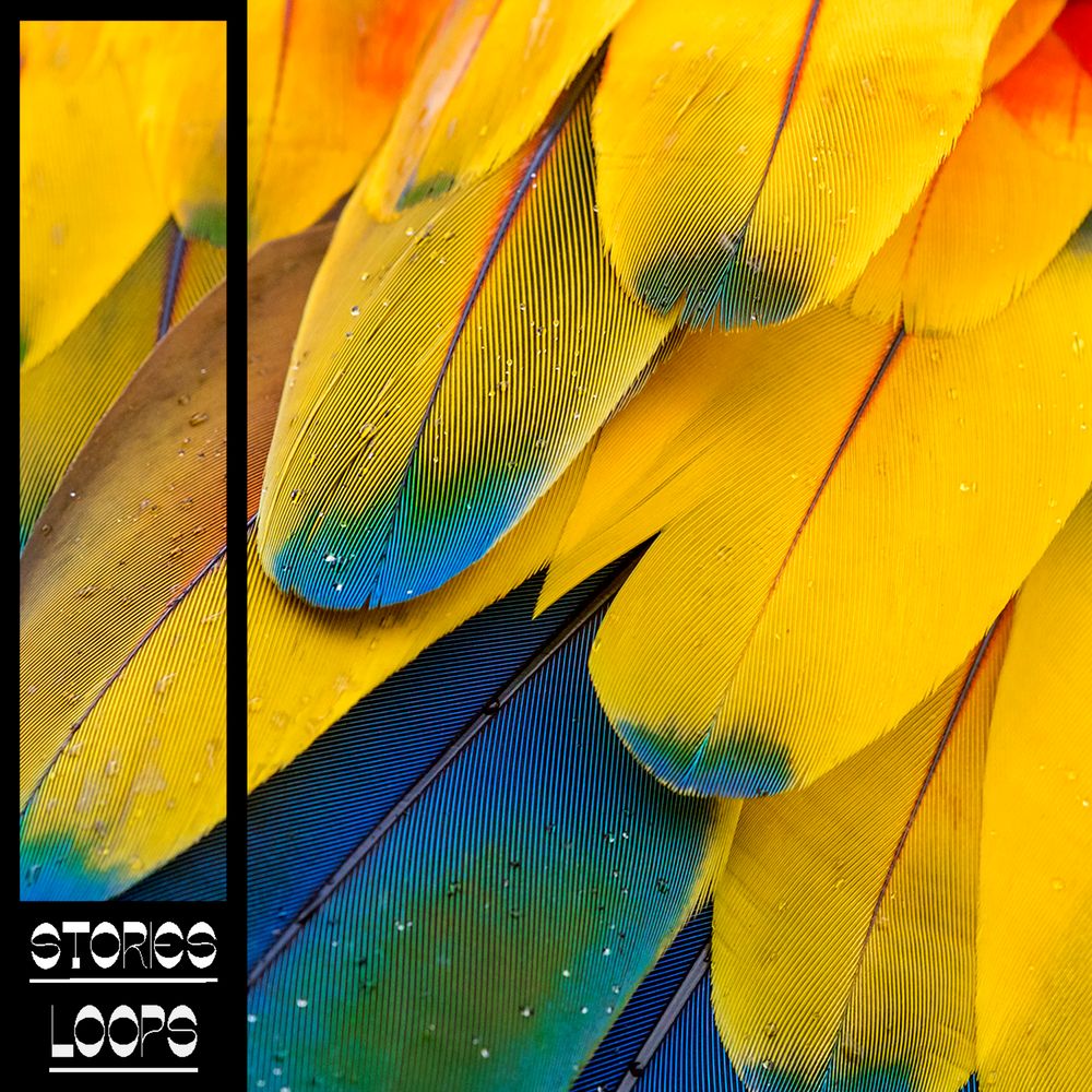 Arte de Latino Pop - Costa Rica