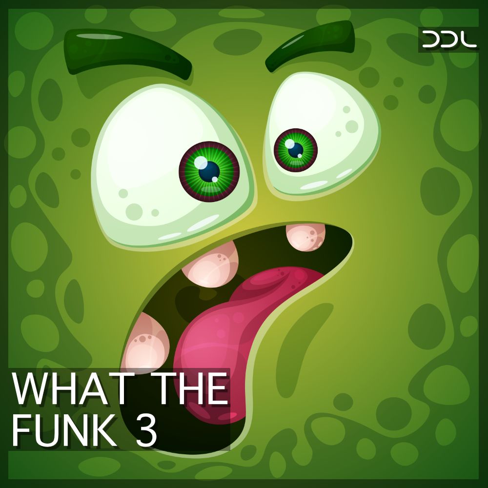 Pochette de What The Funk 3
