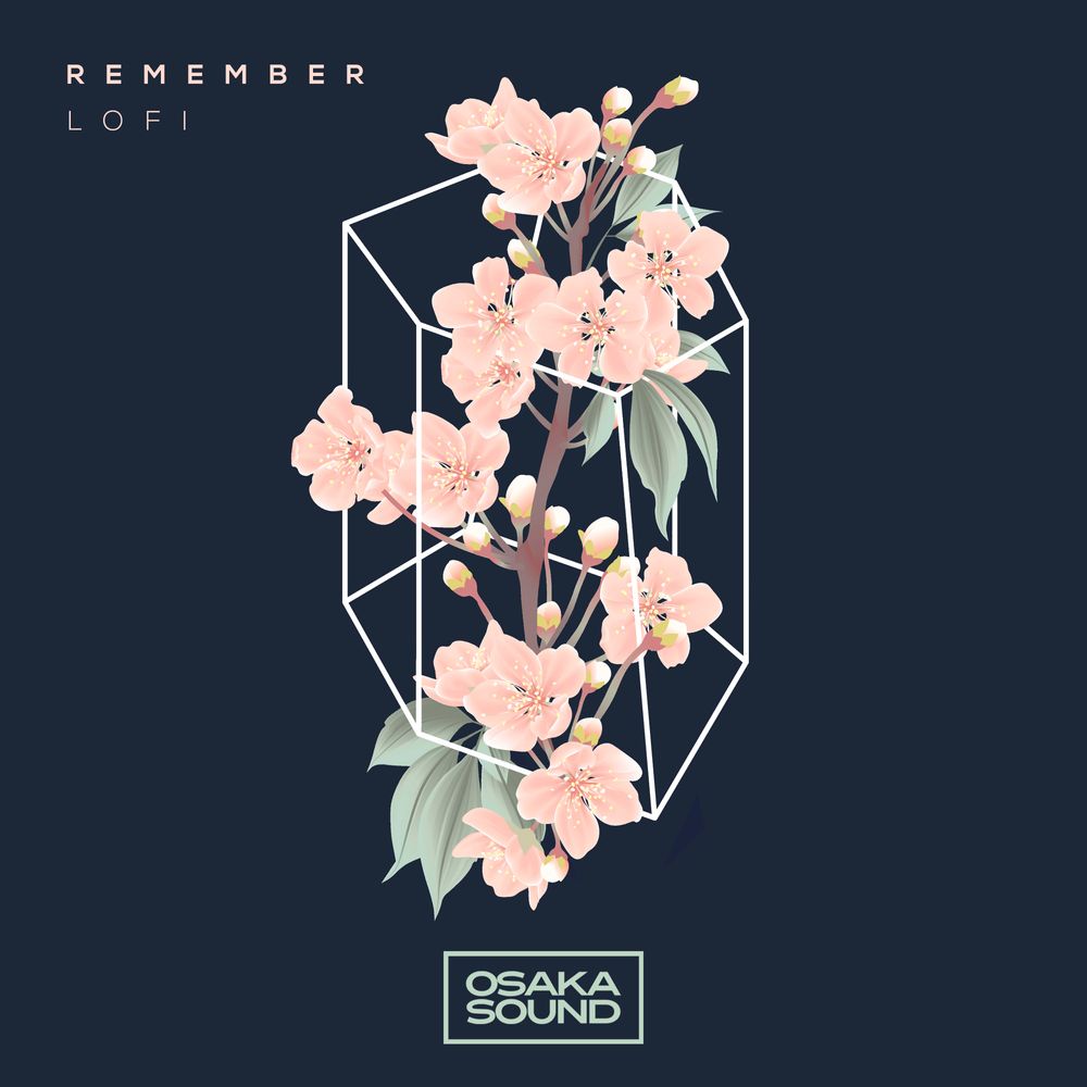 Pochette de Remember - Lofi