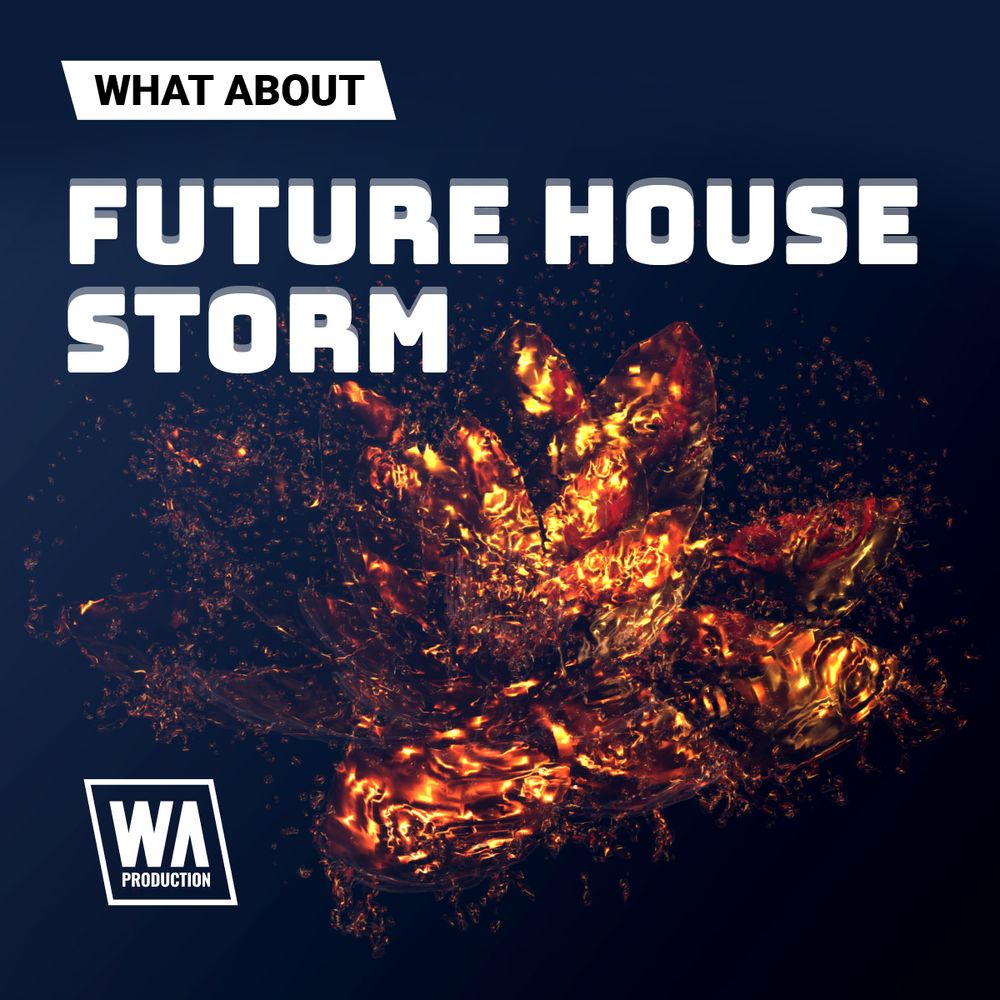 Pochette de What About Future House Storm